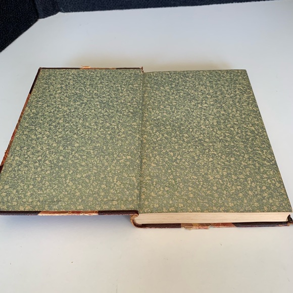 Stoddard's Lectures Vol. 10: California, Grand Canyon, Yellowstone 1909. - Picture 4 of 10